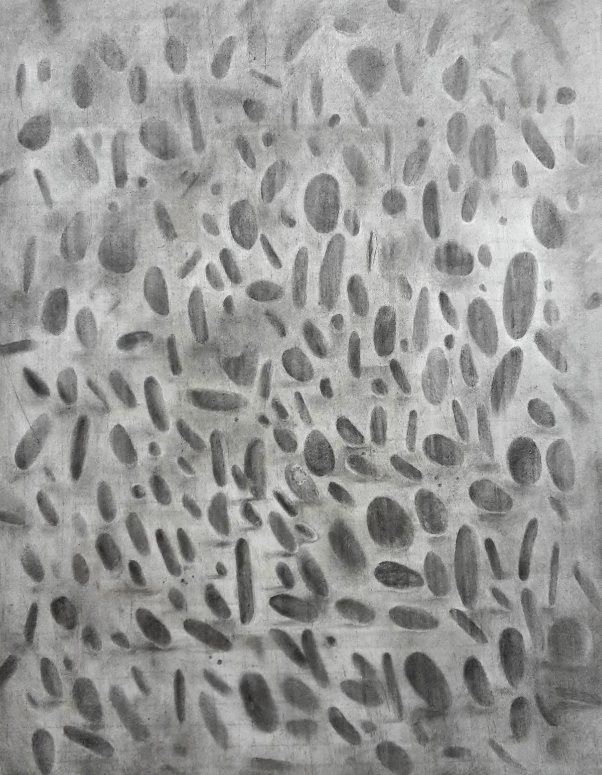 „Virš“, V.Žumbakytė, 2019, iš anglies piešinių ciklo „Tekstūros“
