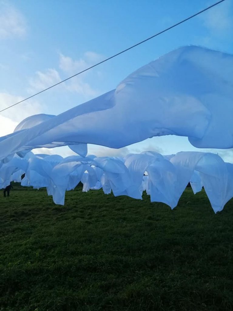 „Vėjų saulė“, Mantas Maziliauskas, 2020.11. Foto: A.Plavinskaitė