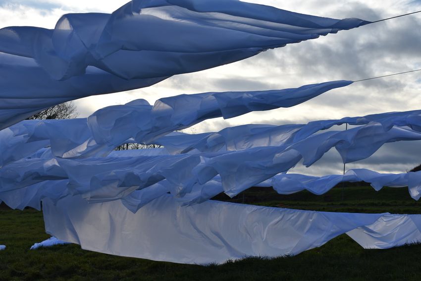 „Vėjų saulė“, Mantas Maziliauskas, 2020.11. Foto: A.Plavinskaitė