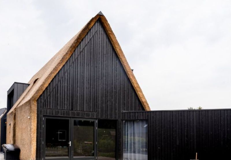 Nendrinis stogas ir termo medienos Thermory fasadas, Olandija.