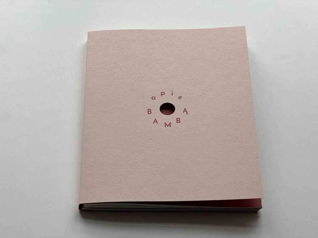 Ievos Stankutės knyga „Apie Bambą / About the Belly Button“ (sudarytojas Gintaras Česonis, išleido Kauno fotografijos galerija, spausdino „Standart Impressa“), Pagrindinė premija. 