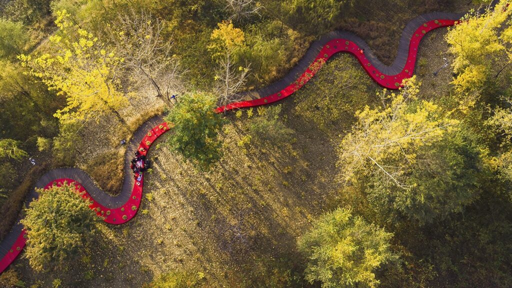 Qinhuangdao raudono kaspino parkas Kinijoje, arch. K.Yu, 2005 m.