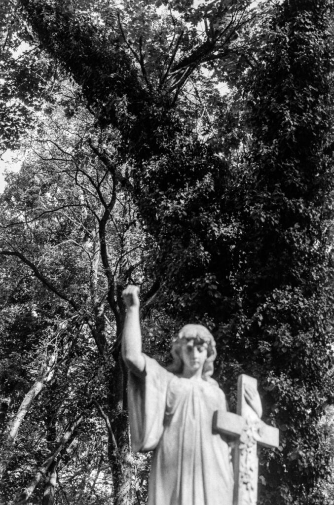 Foto: A.Bondarev.