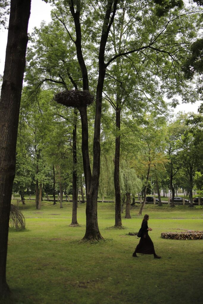 "Lizdas", Jonas Rakutis, Mantė Kučinskaitė, At Niro, Elvita Šiberekovaitė