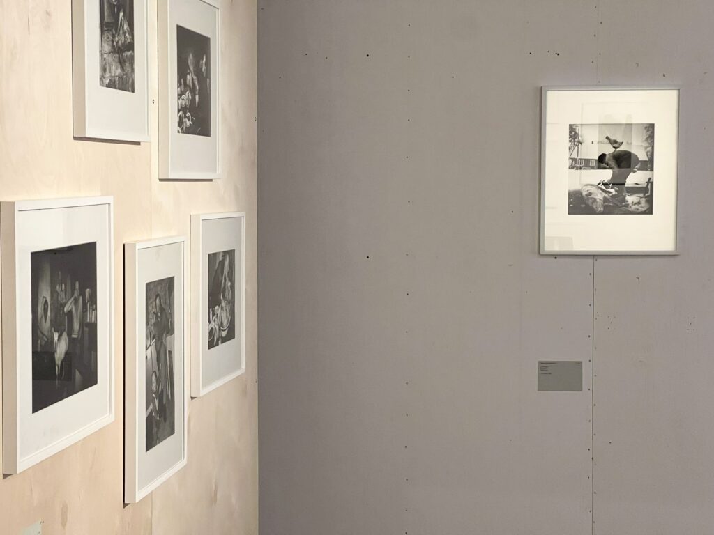 Rimaldas Vikšraitis prisistato Taline. Foto: Kauno fotografijos galerijos. 