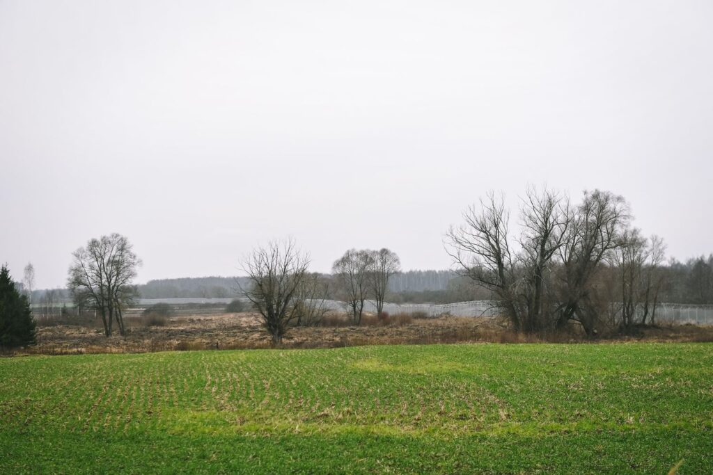 Pasienio linija. Foto: Elīna Kursīte. 