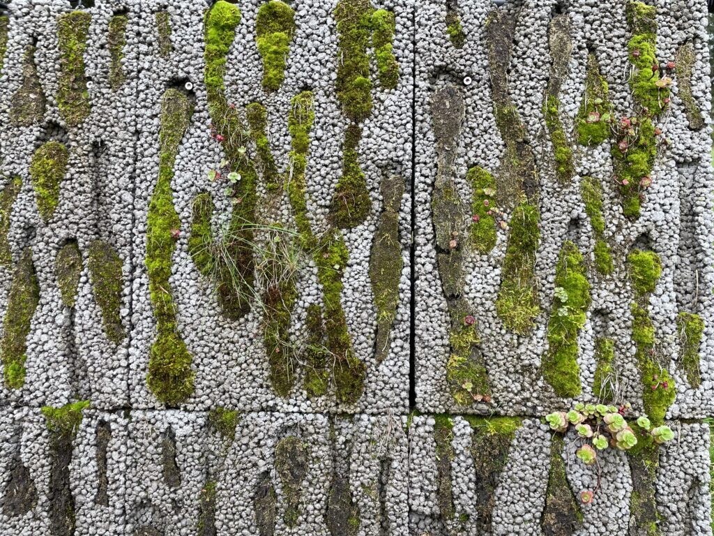 Gyvastingas betonas. Foto: Vilnius Tech.