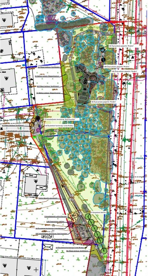 Viešoji erdvė Tarandėje, Vilniuje (projektuotojas „ID Vilnius“; PV E.Geštautaitė, arch. V.Marija Čepaitienė, Ž.Savickaitė).
