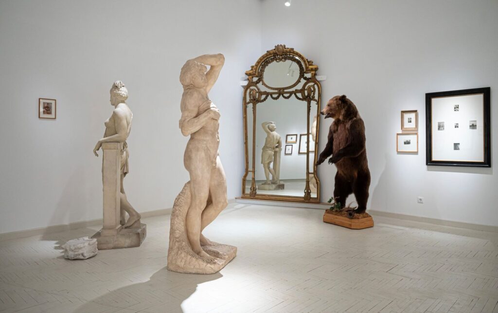 Parodos „Obsesijos“ fragmentas, D.Liškevičius, 2024 m. 