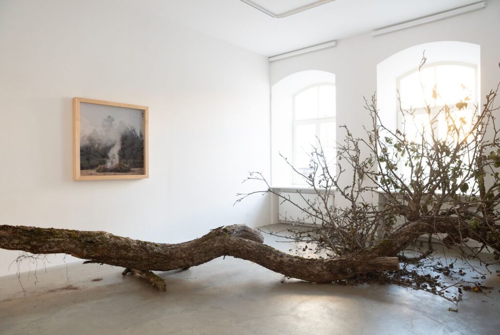 Parodos „Susisaistymas su vieta“ fragmentas, D.Liškevičius, 2020 m. 