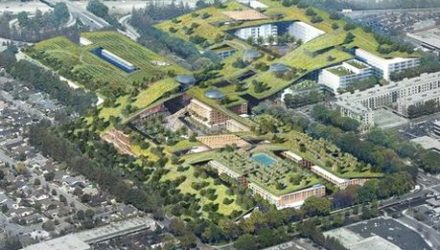 images_phocagallery_3974_green_roof_1509_3974_e02_xxx