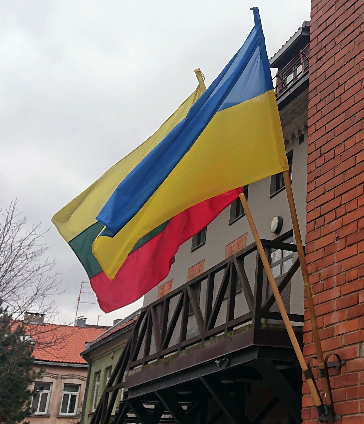 Ukraina Lietuva