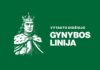 gynyb_lt_250500_e01_xxx