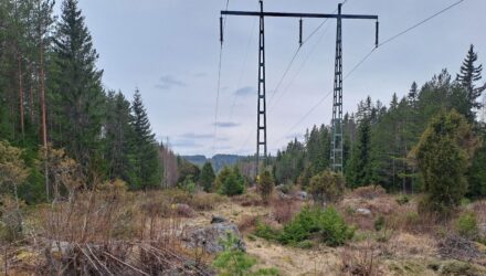 elekt_sv_250700_e01_xxx