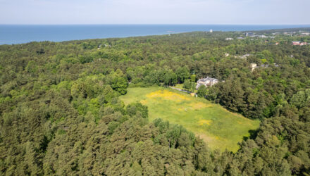 galer_pa_260200_e01_xxx