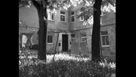 kulik_fo_260200_e001_xxx