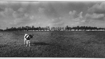 linio_fo_260200_e02_xxx