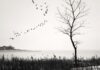 gabre_pl_260600_e02_xxx