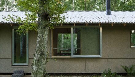 between-birch-hampus-berndtson-nuotr