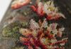 incir_tx_260900_e01_xxx