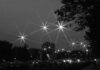 nevid_fo_260900_e02_xxx