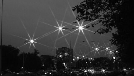 nevid_fo_260900_e02_xxx